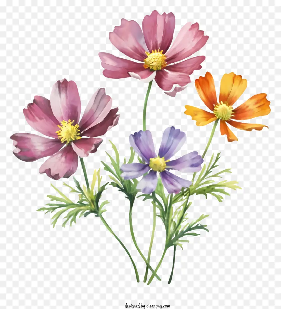 Karikatür，Renkli çiçekler PNG