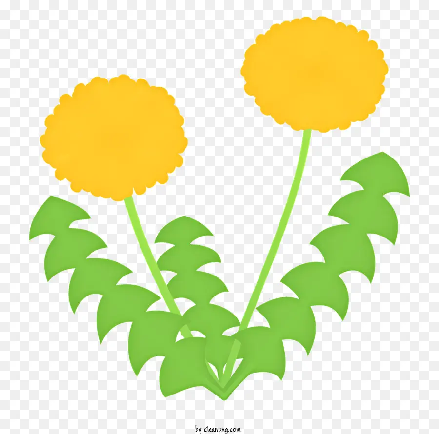 Sarı çiçek，Yeşil Yaprakları PNG