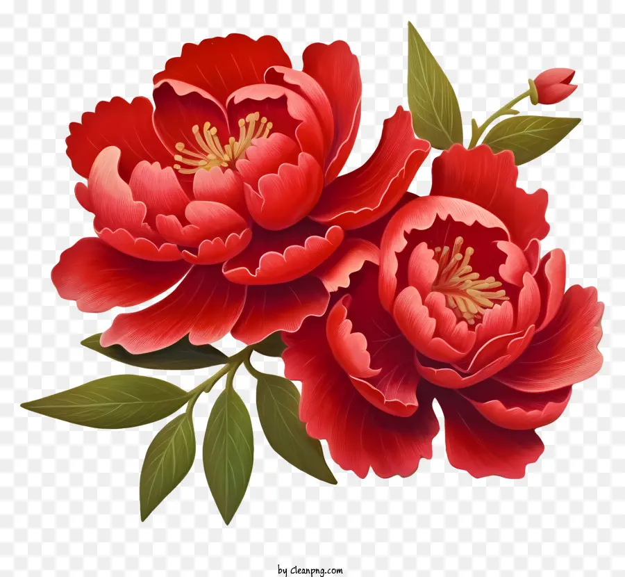 Gerçekçi Çin Yeni Yılı Şakayık，Kırmızı şakayık çiçek PNG