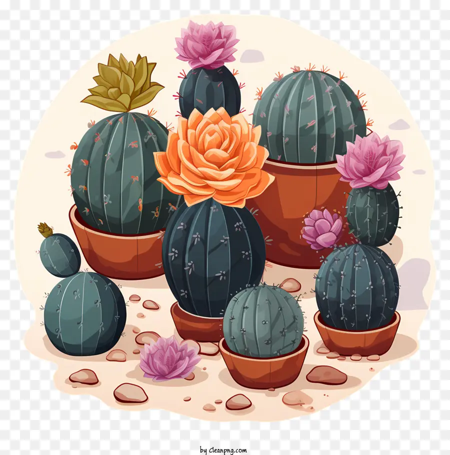 Doodle Succulents，Kaktüsler PNG