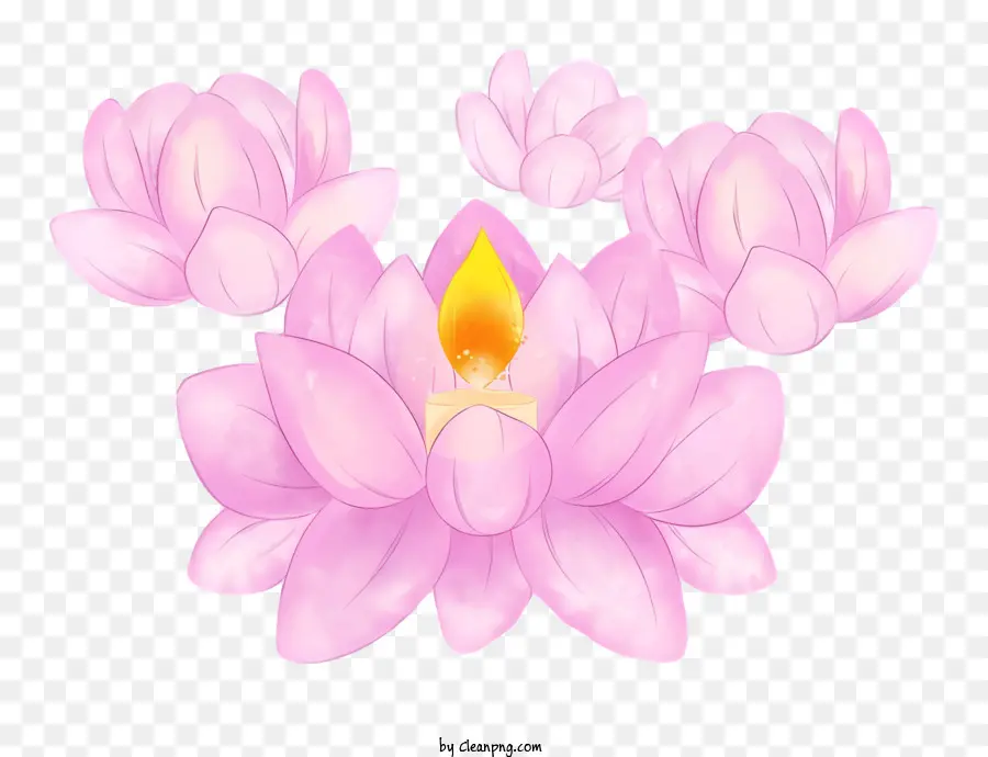 Bodhi Gün，Pembe Lotus Çiçekleri PNG