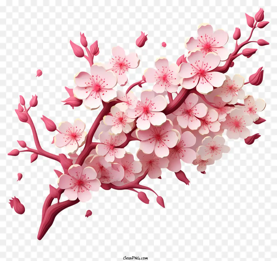 Gerçekçi 3d Tarzı Kiraz Dalı çiçeği，Kiraz çiçekleri PNG
