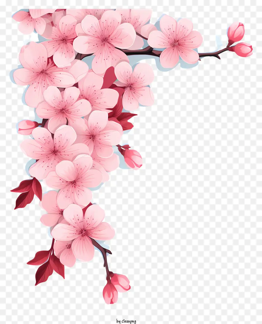Eskiz Tarzı Kiraz şubesi çiçeği，çiçek PNG