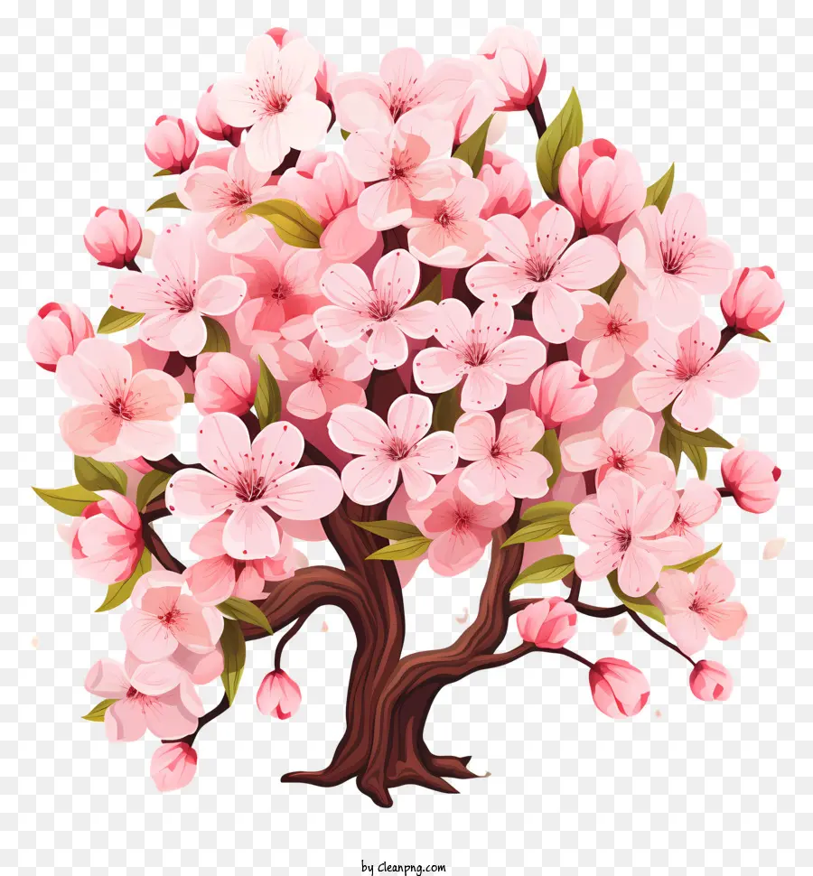 Düz Kiraz Dalı çiçeği，Yemyeşil Ve Canlı Ağaç PNG