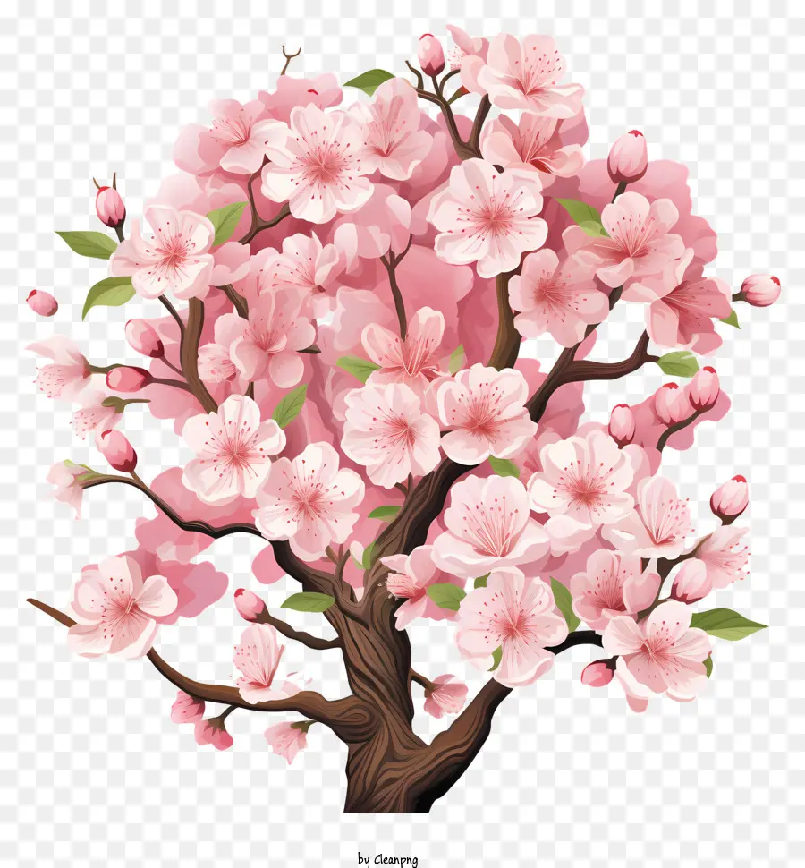 Düz Kiraz Dalı çiçeği，Pembe çiçeklerle Ağaç PNG