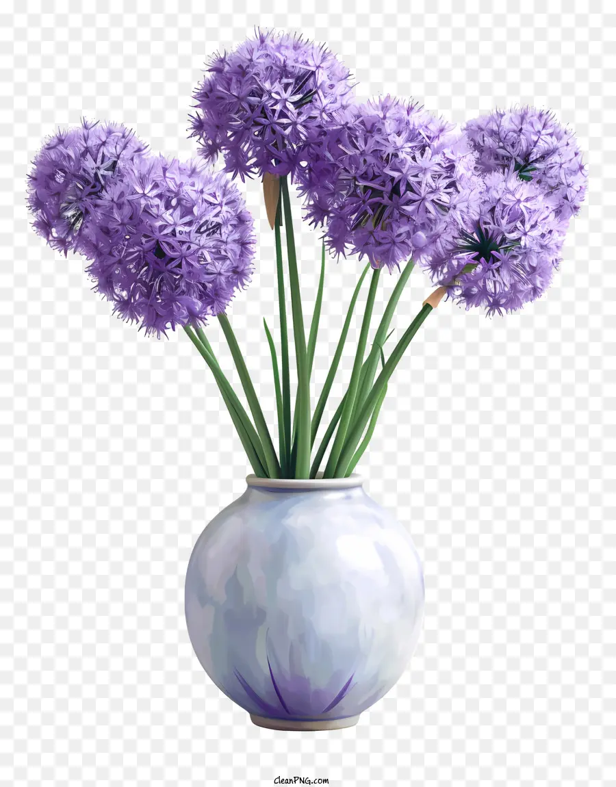 Allium Giganteum，Mor Çiçekler PNG