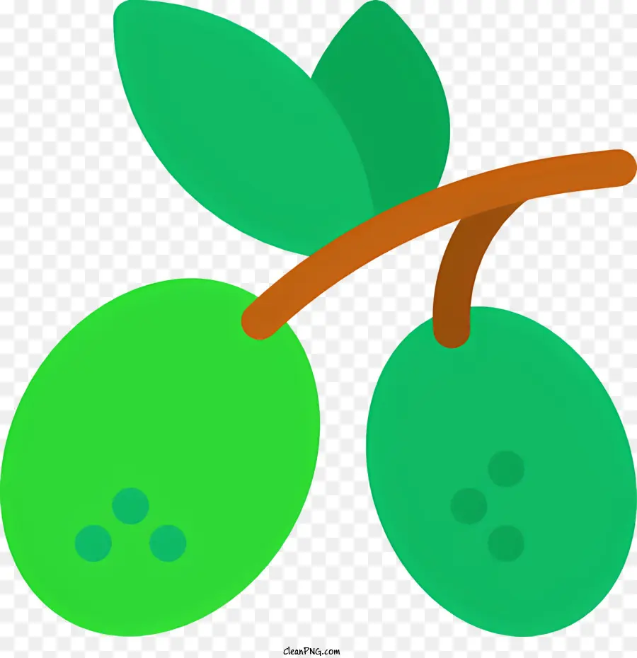 Zeytin Dalı，Yeşil Zeytin PNG