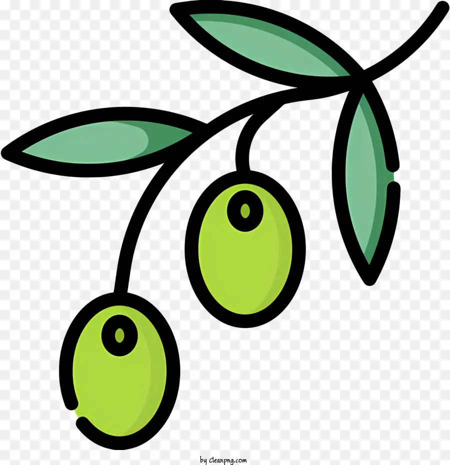 Zeytin Dalı，Yeşil Zeytin PNG