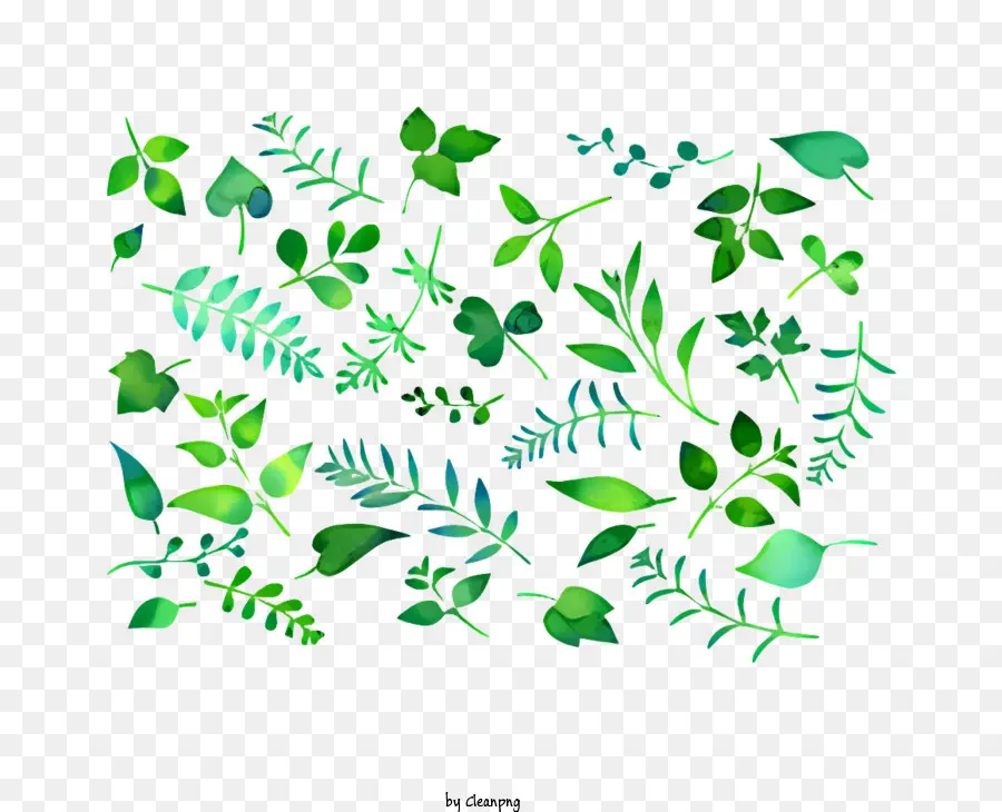 Yeşil Yaprakları，Suluboya Resim PNG