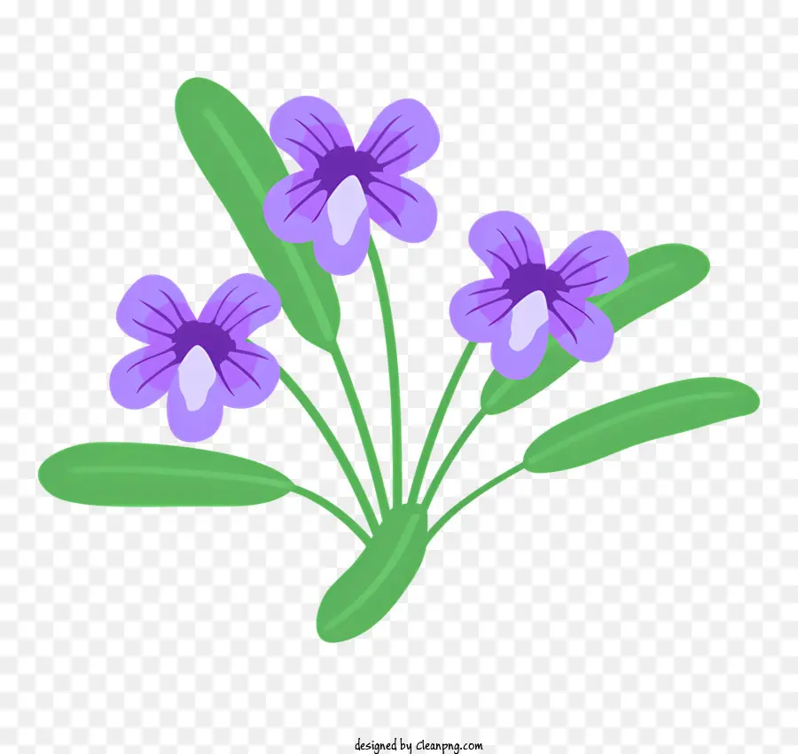 Mor çiçekler，Siyah Arka Plan PNG