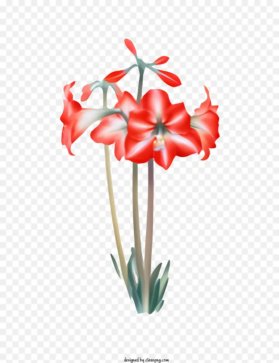 çiçek，Kırmızı Yaprakları PNG