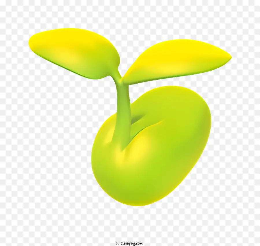 Yeşil Bitki，Yaprak PNG