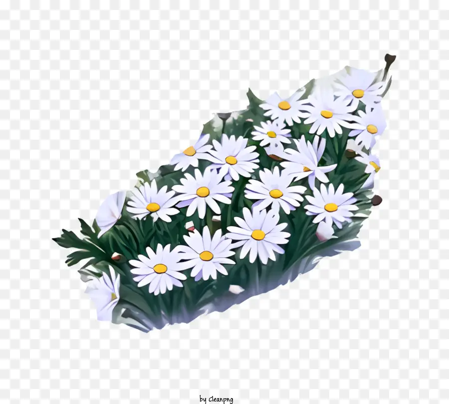 çiçek，Beyaz çiçek PNG