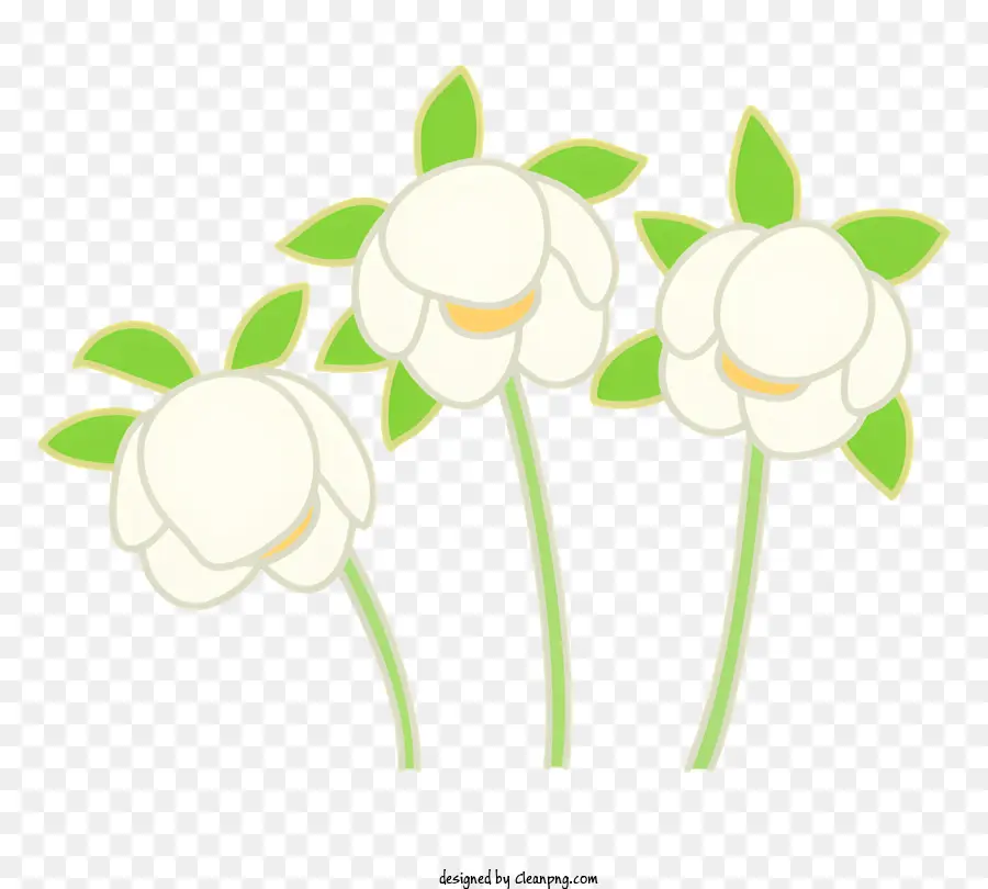 çiçek，Beyaz çiçekler PNG