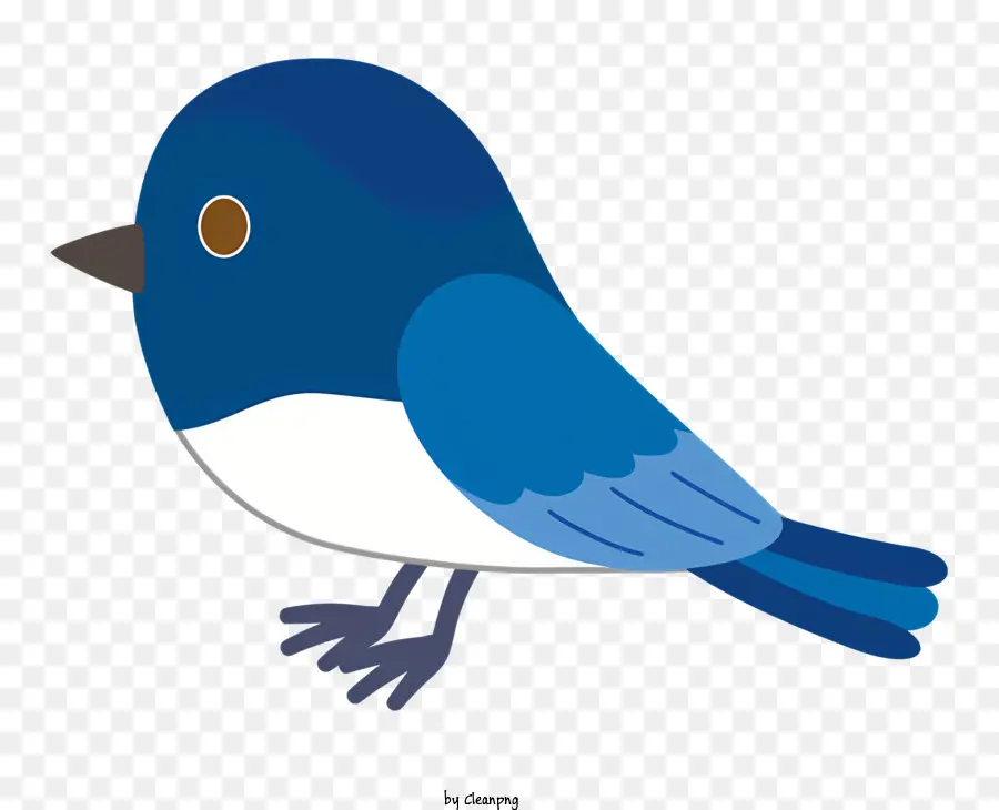 Kuş，Mavi Kuş PNG