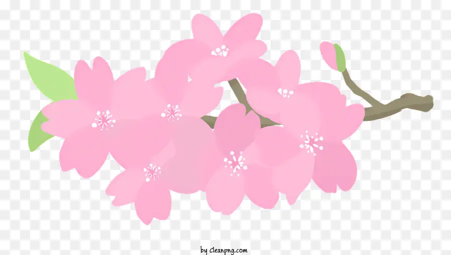 Sakura，Kiraz çiçeği PNG