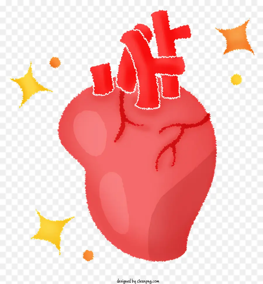 Kalp Organı，Kalp Sağlığı PNG
