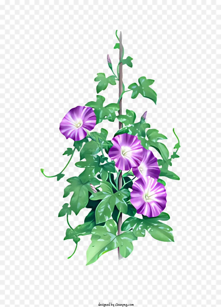 çiçek，Mor Sabah Zafer PNG