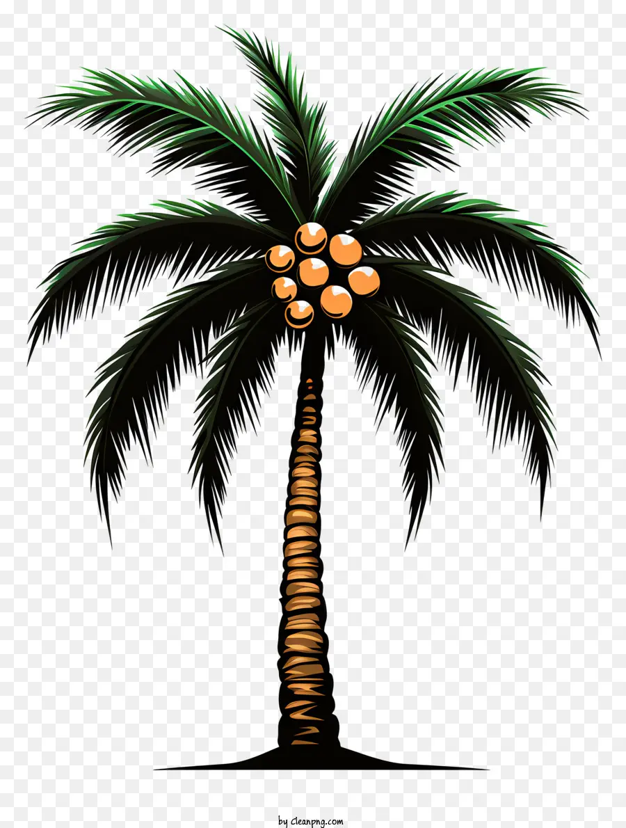 Eskiz Tarzı Hindistan Cevizi Ağacı，Palmiye Ağacı PNG