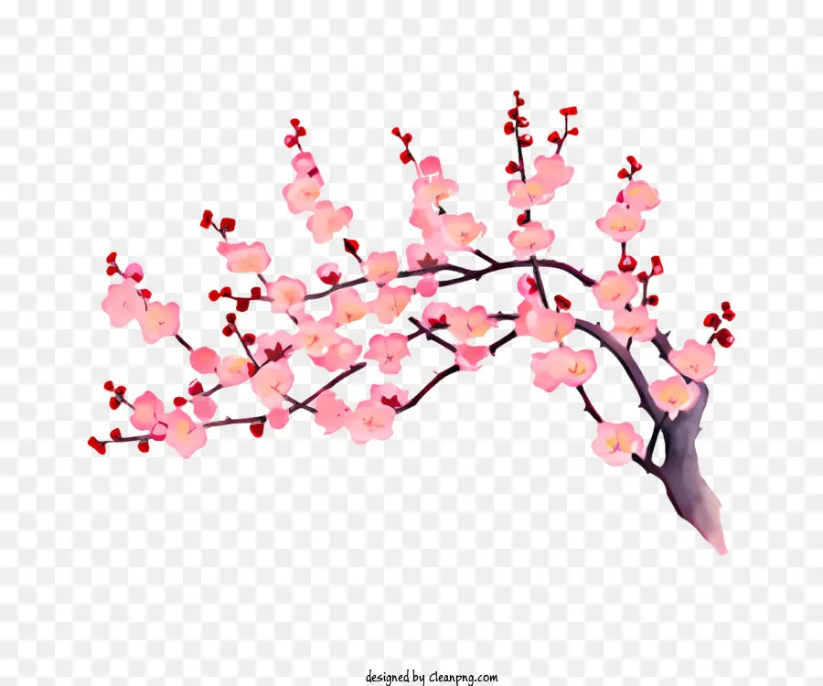 Bahar，Pembe Kiraz çiçeği Ağacı PNG