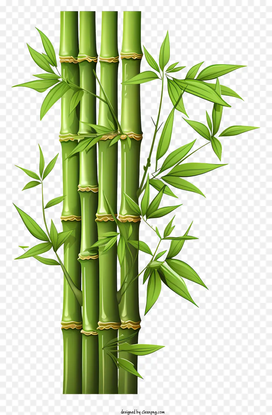 Elle çizilmiş Bambu Gövde，Bambu Bitki PNG