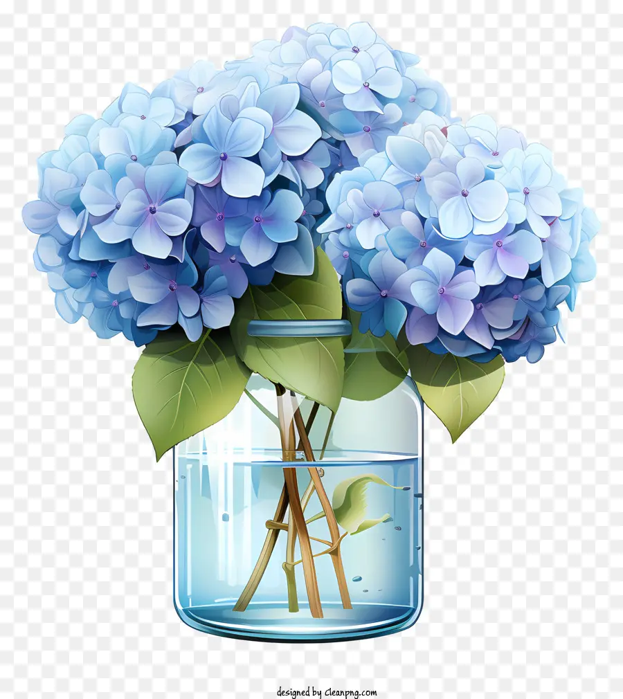 Kavanozda Düz Ortanca，Mavi çiçekler PNG