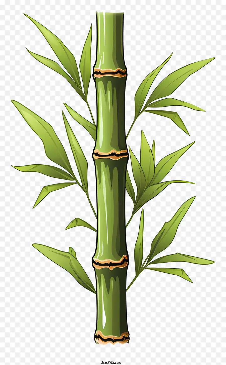 Elle çizilmiş Bambu Gövde，Bambu PNG