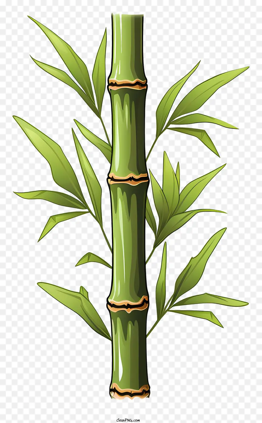 Elle çizilmiş Bambu Sapı，Bambu PNG