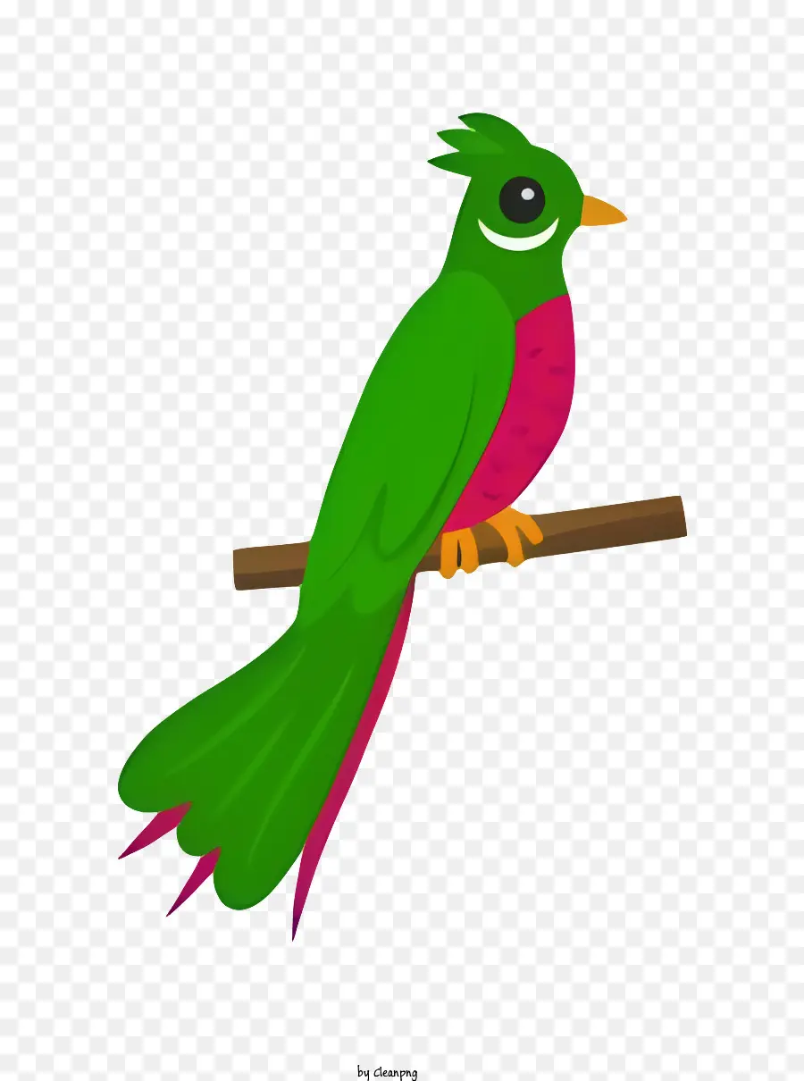 Kuş Papağan，Yeşil Ve Kırmızı Kuş PNG