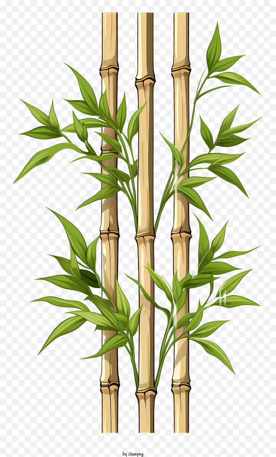 Doodle Tarzı Bambu Gövde，Bambu PNG