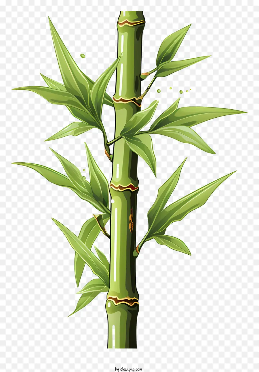 Elle çizilmiş Bambu Gövde，Bambu Kök PNG
