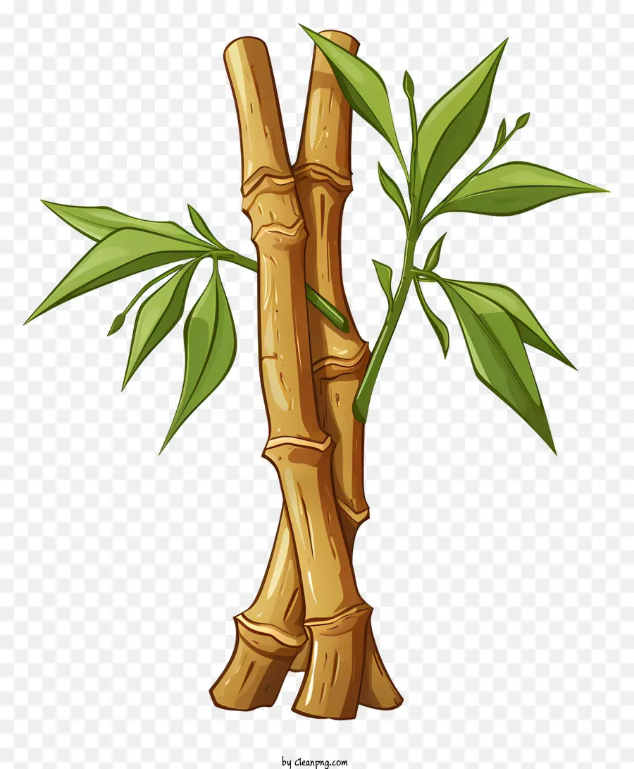 Eskiz Tarzı Bambu Gövdesi，Bambu Sapları PNG