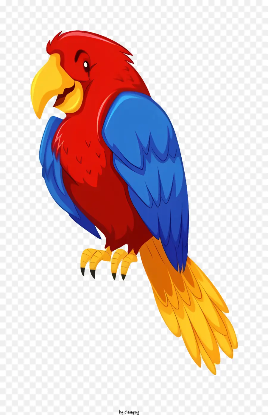 Kuş Papağan，Papağan Karikatür PNG