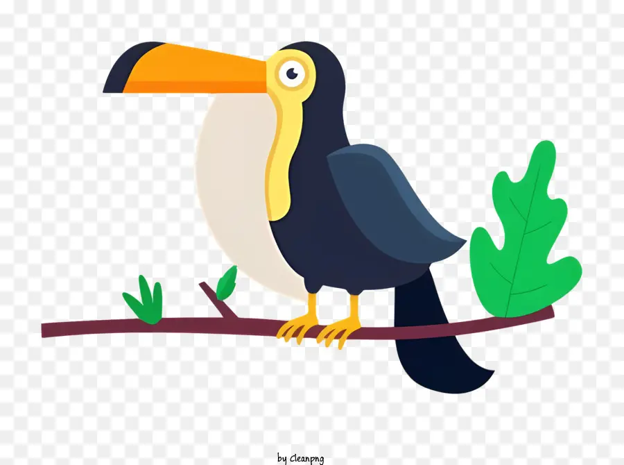 Kuş Papağan，Tukan PNG
