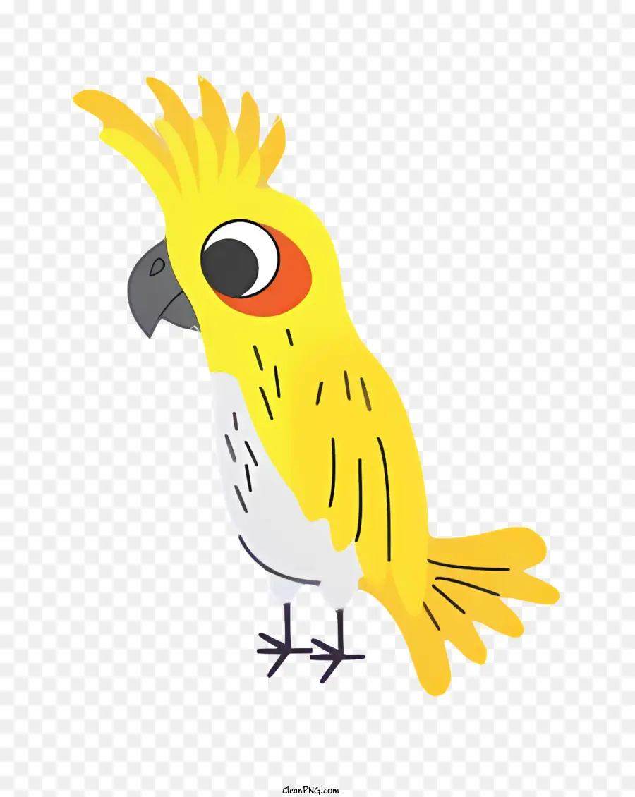 Kuş Papağan，Sarı Papağan PNG