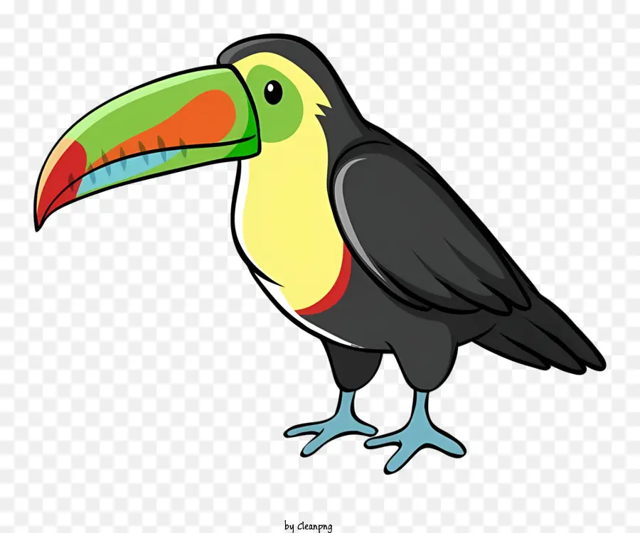 Kuş Papağan，Tukan PNG