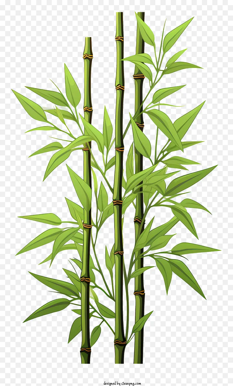 Elle çizilmiş Bambu Gövde，Bitki PNG