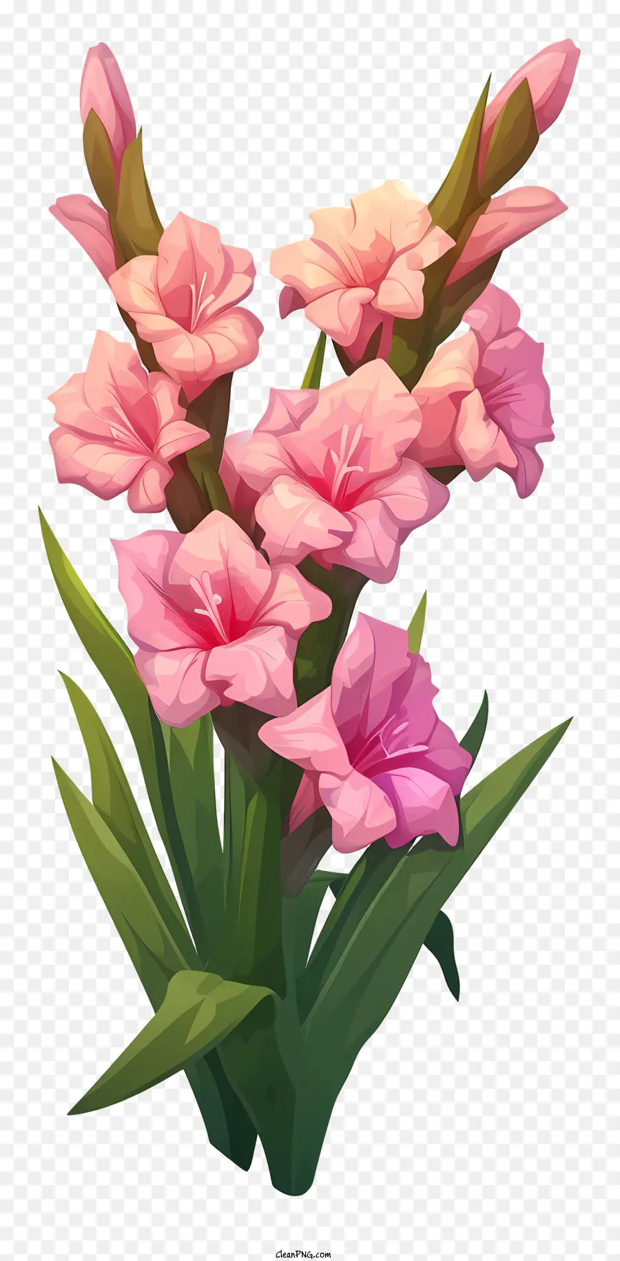 Glayöl，Pembe çiçekler PNG