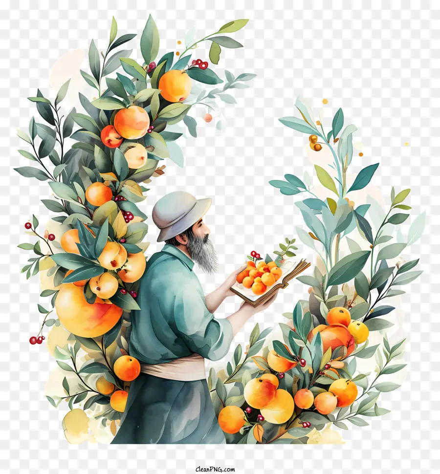 Adam，Portakal Ağaçları PNG