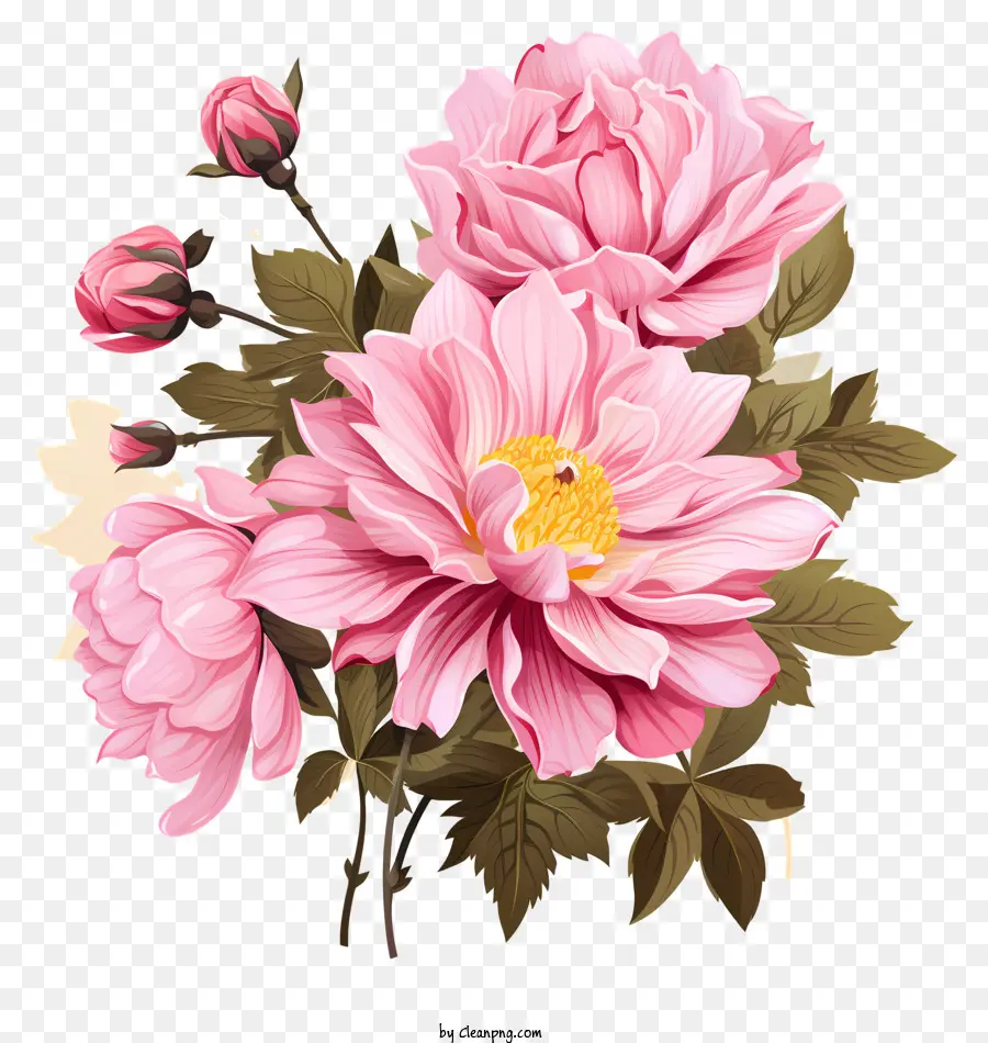Elle çizilmiş Pembe çiçek，Pembe Güller PNG