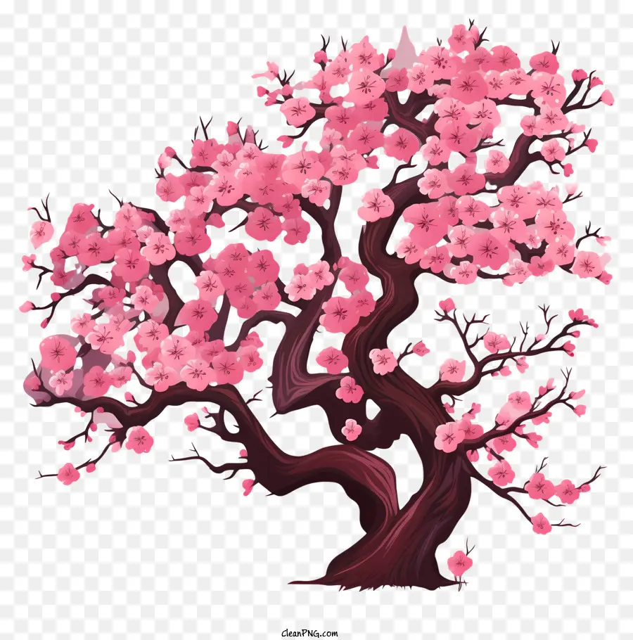 Elle çizilmiş Kiraz çiçeği Ağacı，Kiraz çiçeği Ağacı PNG