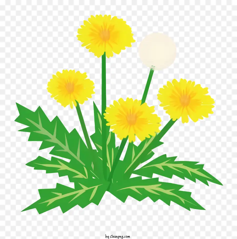 çiçek，Sarı Karahindi PNG