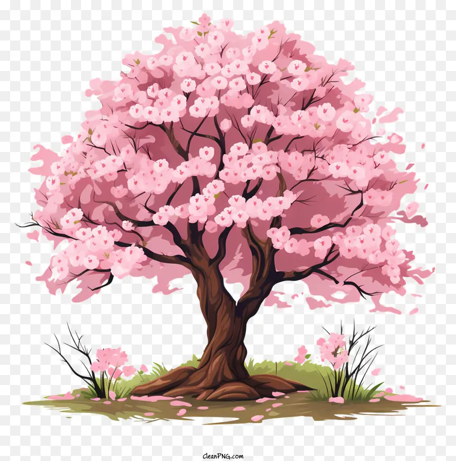 Doodle Tarzı Kiraz çiçeği Ağacı，Kiraz çiçeği PNG