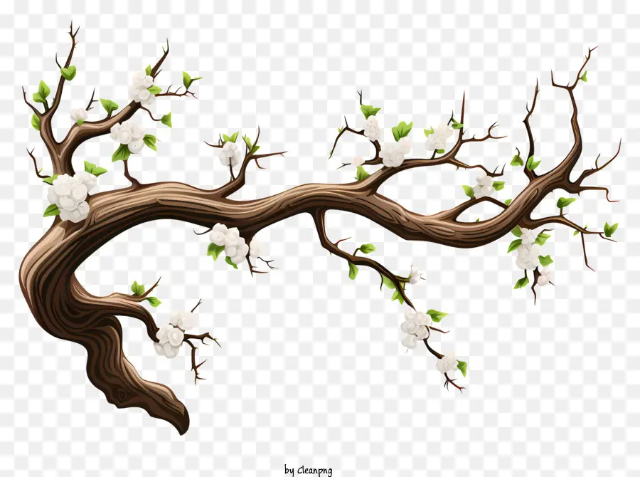 Eskiz Tarzı Ağaç şubesi，Ağaç Dalı PNG