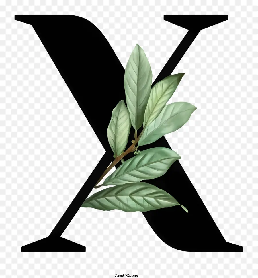 X Logosu，Yeşil Yaprak PNG