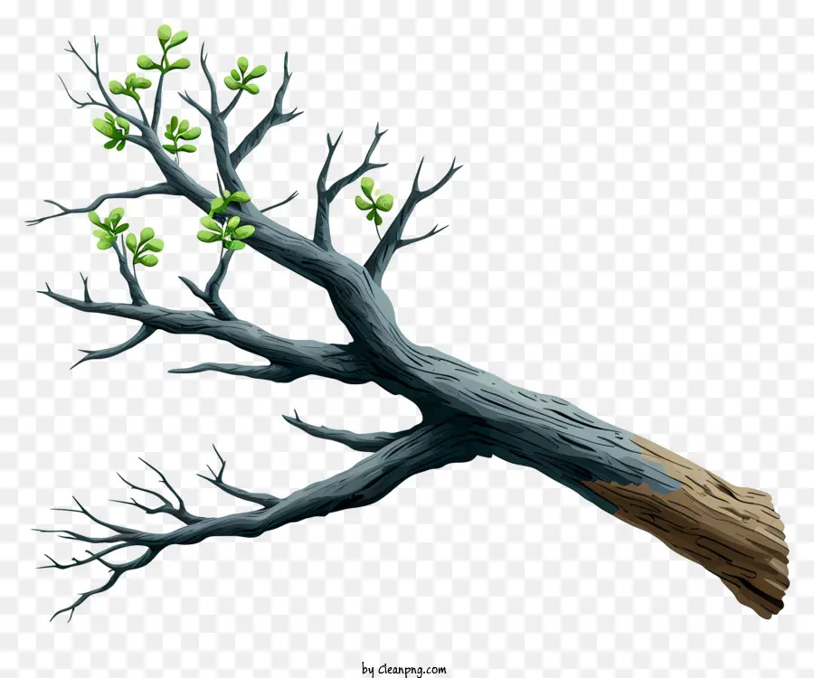 Eskiz Tarzı Ağaç şubesi，ölü Ağaç Dalı PNG