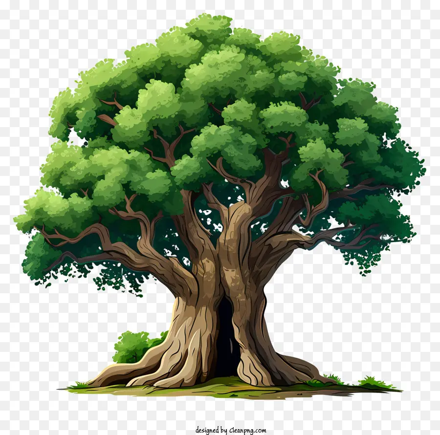 Elle çizilmiş Büyük Ağaç，Ağaç PNG