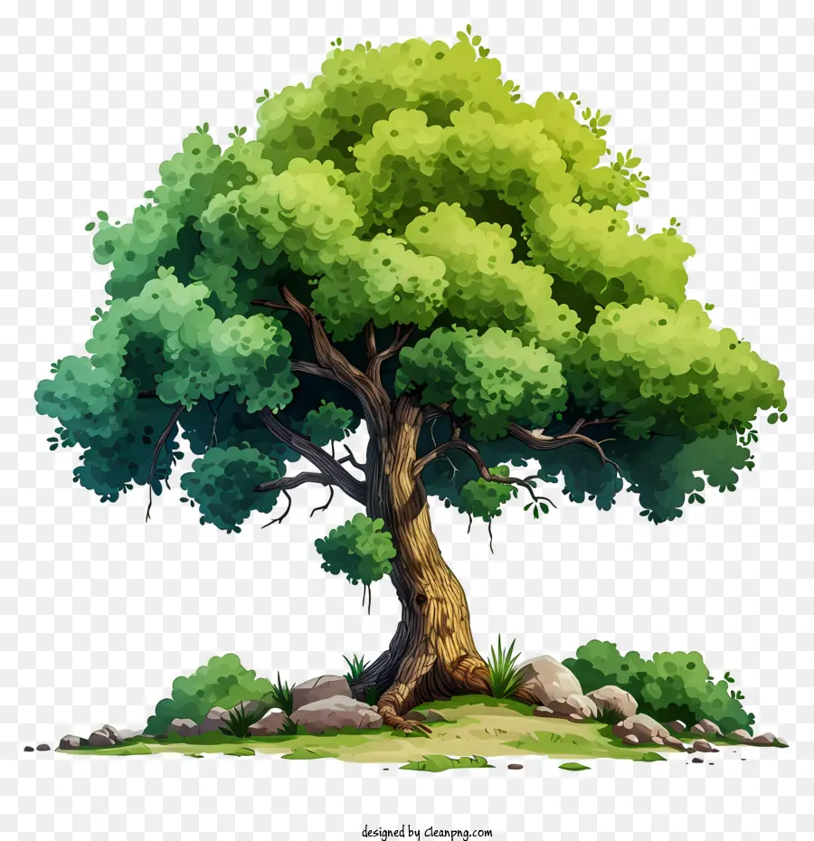 Suluboya Büyük Ağaç，Orman PNG