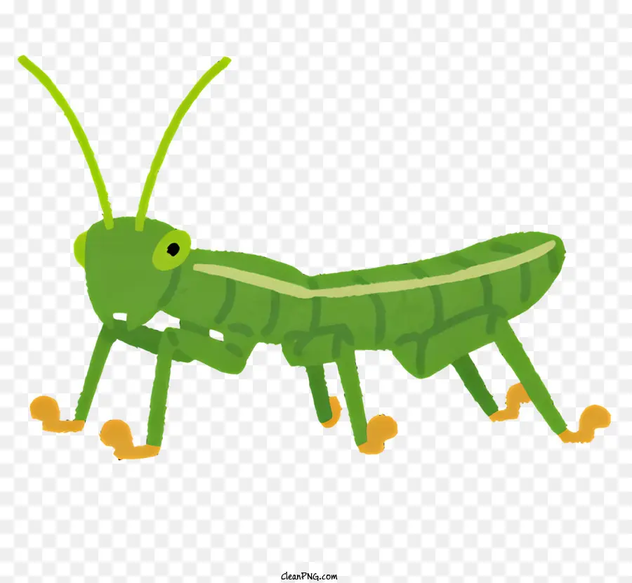Böcek，Yeşil Karınca PNG