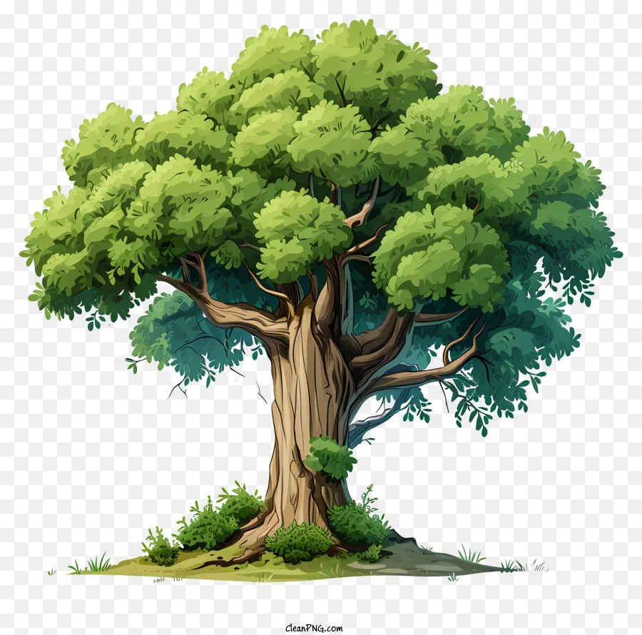 Doodle Tarzı Büyük Ağaç，Ağaç PNG